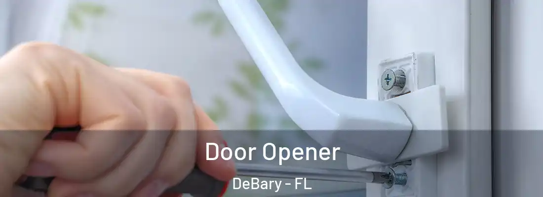  Door Opener DeBary - FL