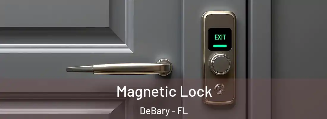  Magnetic Lock DeBary - FL